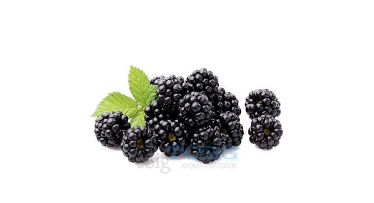 Изображение Ароматизатор My Flavor Blackberry Ароматизатор My Flavor Blackberry